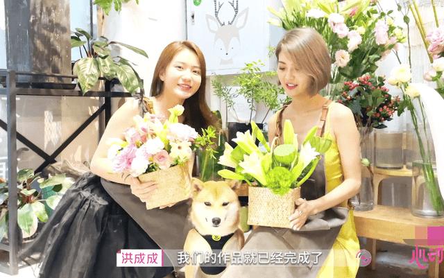 凤凰不好惹
