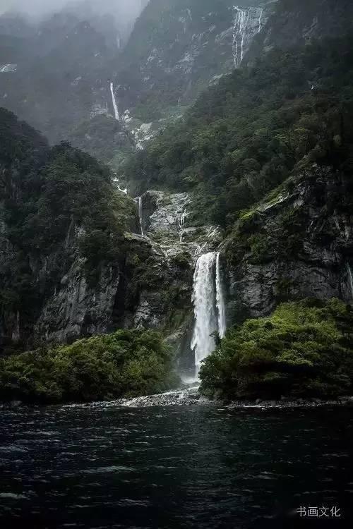 逃离诡异之林
